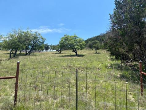 208 Saddle Wood Trail Comfort TX 78013