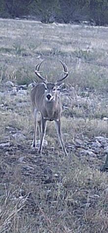 0000 Other Sonora TX 76950