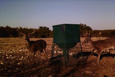 0000 Other Sonora TX 76950
