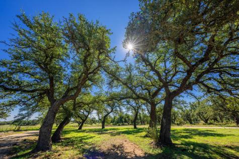 803 Gold-schaefer Road Fredericksburg TX 78624