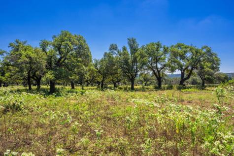 803 Gold-schaefer Road Fredericksburg TX 78624