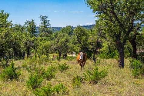 803 Gold-schaefer Road Fredericksburg TX 78624