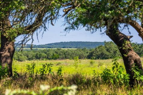 803 Gold-schaefer Road Fredericksburg TX 78624