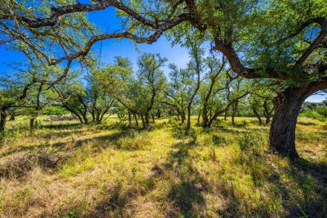 803 Gold-schaefer Road Fredericksburg TX 78624