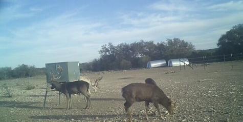 1104 Other Sonora TX 76950