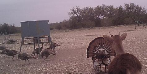 1104 Other Sonora TX 76950