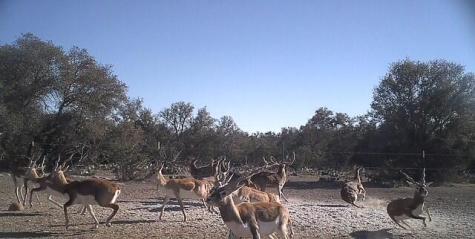 1104 Other Sonora TX 76950