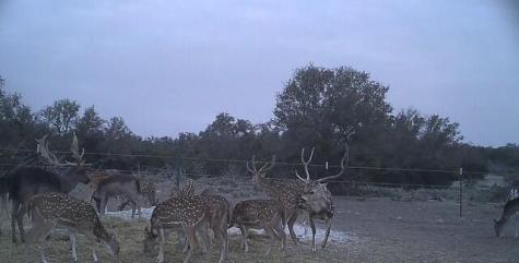 1104 Other Sonora TX 76950