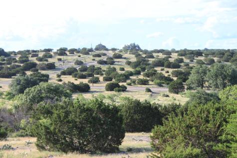 Tract 5 Dominion Road Roosevelt TX 76950