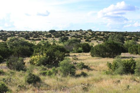 Tract 5 Dominion Road Roosevelt TX 76950