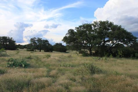 Tract 5 Dominion Road Roosevelt TX 76950