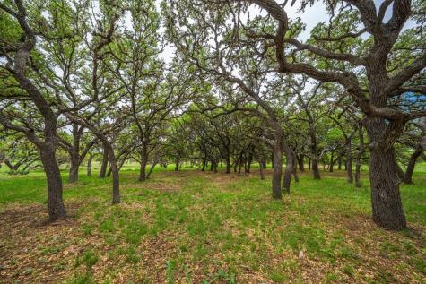 1065 B And R Ranch Utopia TX 78884