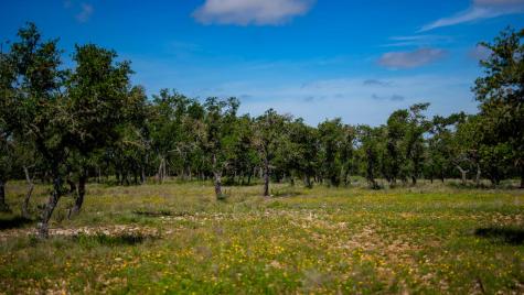 Tbd El Rincon Road Mountain Home TX 78058
