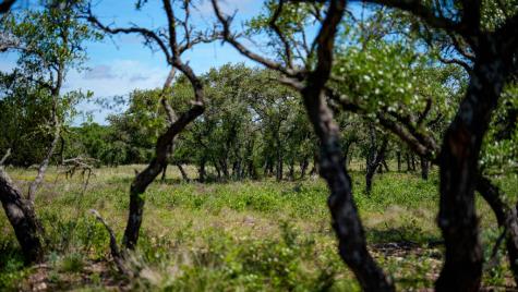 Tbd El Rincon Road Mountain Home TX 78058