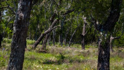 Tbd El Rincon Road Mountain Home TX 78058