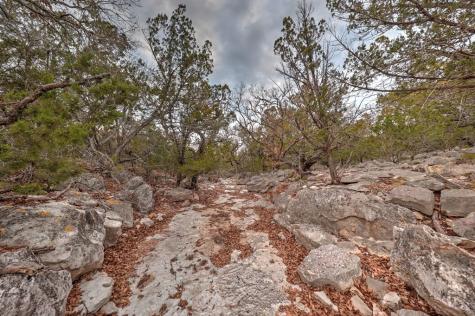 438-2 Yellowstone Lane Hunt TX 78024