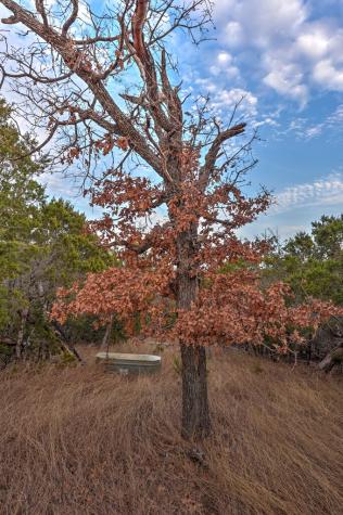 438-2 Yellowstone Lane Hunt TX 78024
