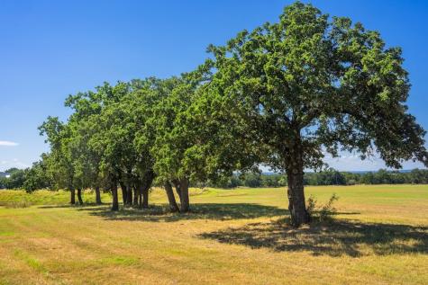 0 Sultemeier-moellering Fredericksburg TX 78624