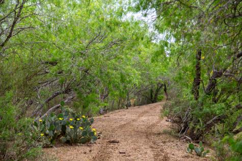 1277 Other Floresville TX 78114