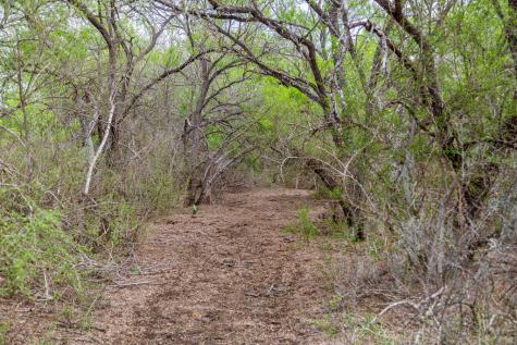1277 Other Floresville TX 78114