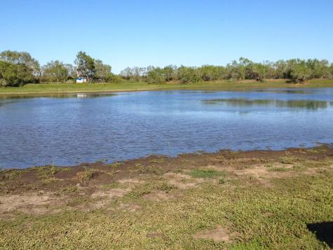1277 Other Floresville TX 78114