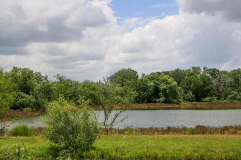 1277 Other Floresville TX 78114