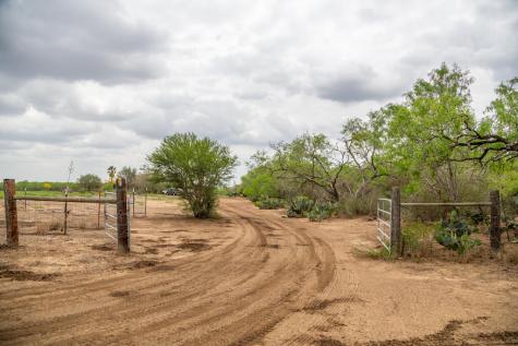1277 Other Floresville TX 78114