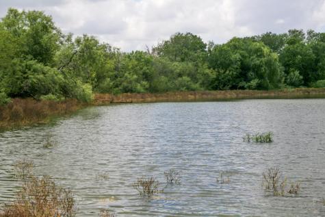 1277 Other Floresville TX 78114