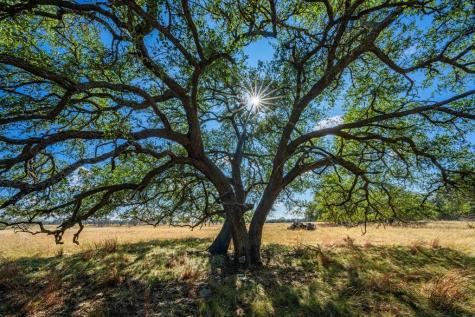Lot 12 Turn Out Lane Harper TX 78631