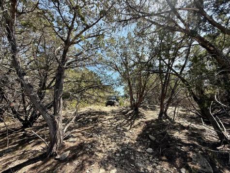 3320 Privilege Creek Road Pipe Creek TX 78063