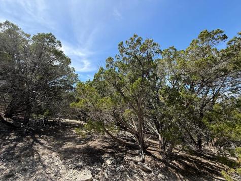 3320 Privilege Creek Road Pipe Creek TX 78063