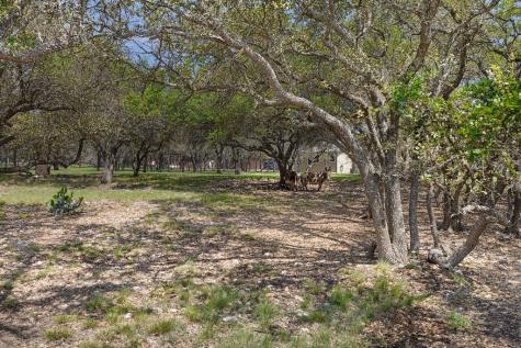 222 Spanish Oak Trail Harper TX 78631