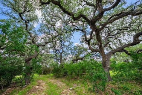8 Cypress Creek Road Comfort TX 78013