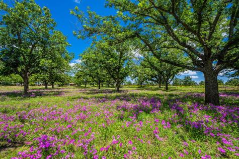 283-A Hallford Lane Fredericksburg TX 78624
