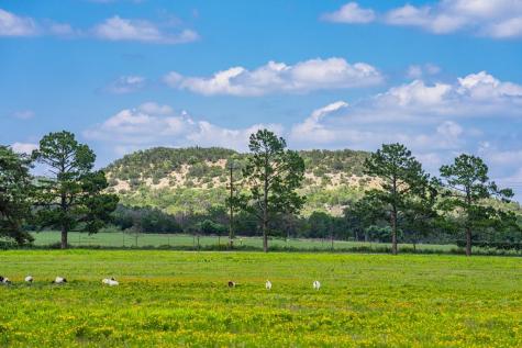 283-A Hallford Lane Fredericksburg TX 78624