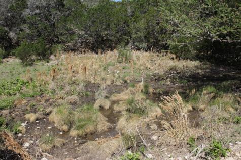 1976 Cedar Lane Leakey TX 78873