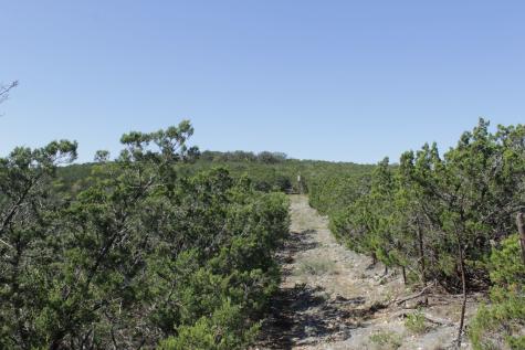 1976 Cedar Lane Leakey TX 78873