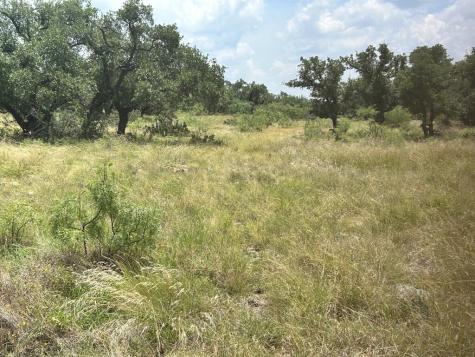 Menard TX 76859