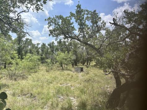 Menard TX 76859