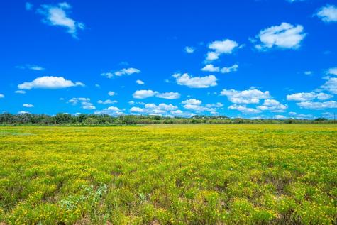 283-A Hallford Lane Fredericksburg TX 78624