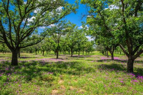 283-A Hallford Lane Fredericksburg TX 78624