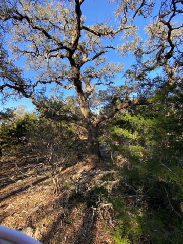 42 Rust Lane Boerne TX 78006