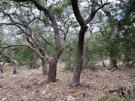 42 Rust Lane Boerne TX 78006
