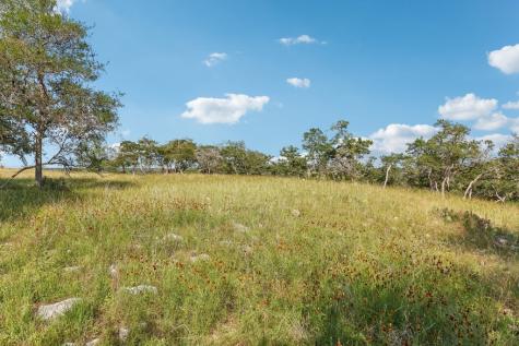 00 Old Comfort Road Fredericksburg TX 78624