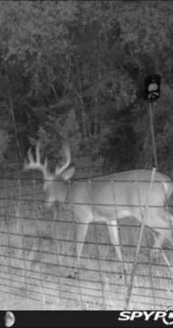 180 Bee Hive Road SW Hunt TX 78024