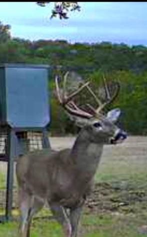 180 Bee Hive Road SW Hunt TX 78024