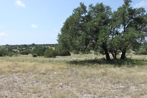 Tract 6 Dominion Road Roosevelt TX 76950