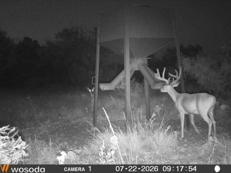 Tract 6 Dominion Road Roosevelt TX 76950
