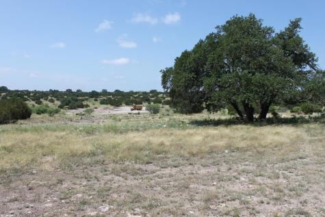 Tract 6 Dominion Road Roosevelt TX 76950