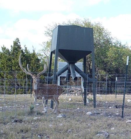 Lot 2 Highway 55 Rocksprings TX 78880